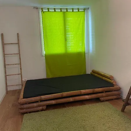 Appartement Montreux מונטרה